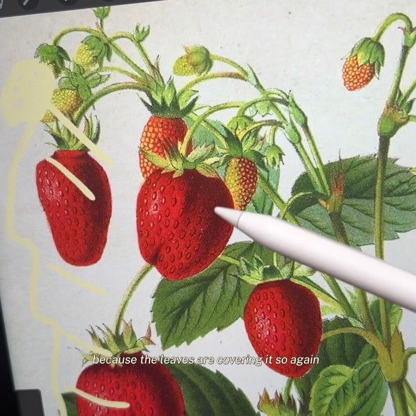 CLASS: Vintage Strawberries